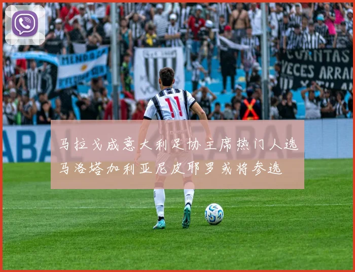 马拉戈成意大利足协主席热门人选马洛塔加利亚尼皮耶罗或将参选